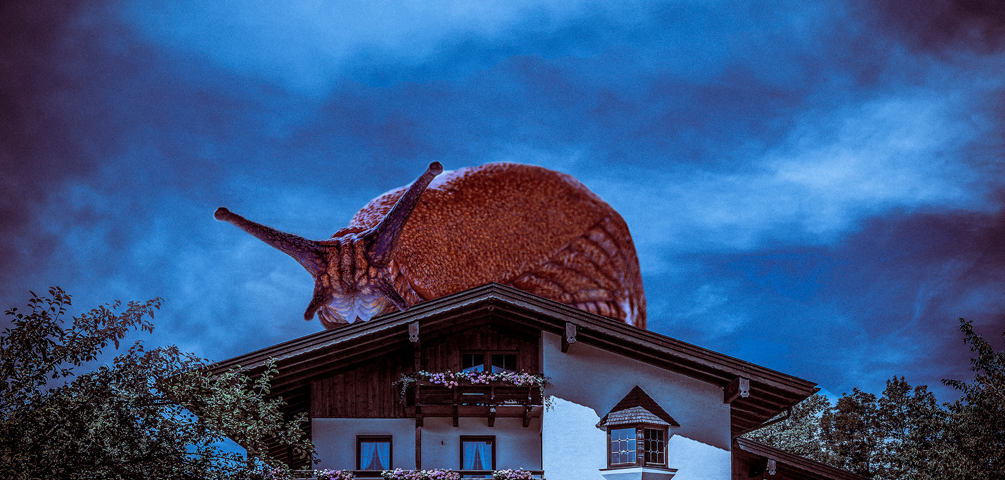 Das schaurige Haus